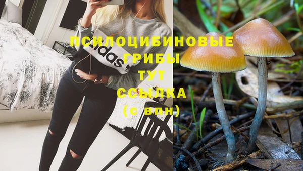 ешки Верхний Тагил