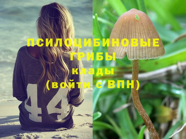 mdpv Верея