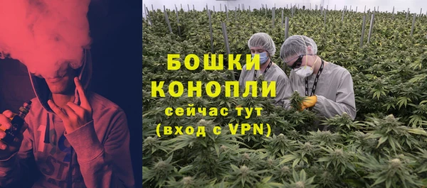 ГАЛЛЮЦИНОГЕННЫЕ ГРИБЫ Волоколамск
