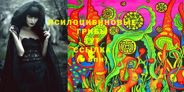 mdpv Верея