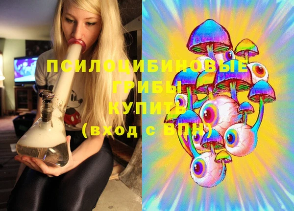 mdpv Верея