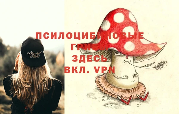 mdpv Верея
