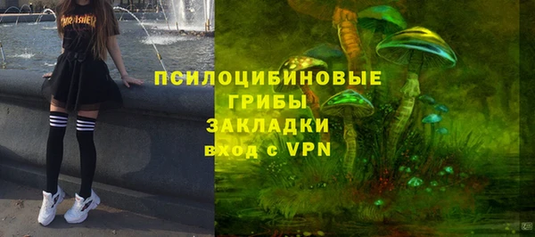 сатива Бородино