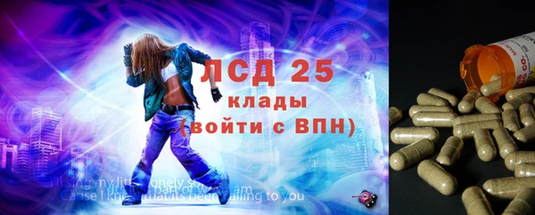 ГАЛЛЮЦИНОГЕННЫЕ ГРИБЫ Волоколамск