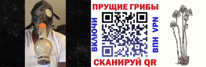 Галлюциногенные грибы GOLDEN TEACHER  где продают наркотики  Дигора 
